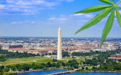 Starting a Cannabis Business in Washington DC