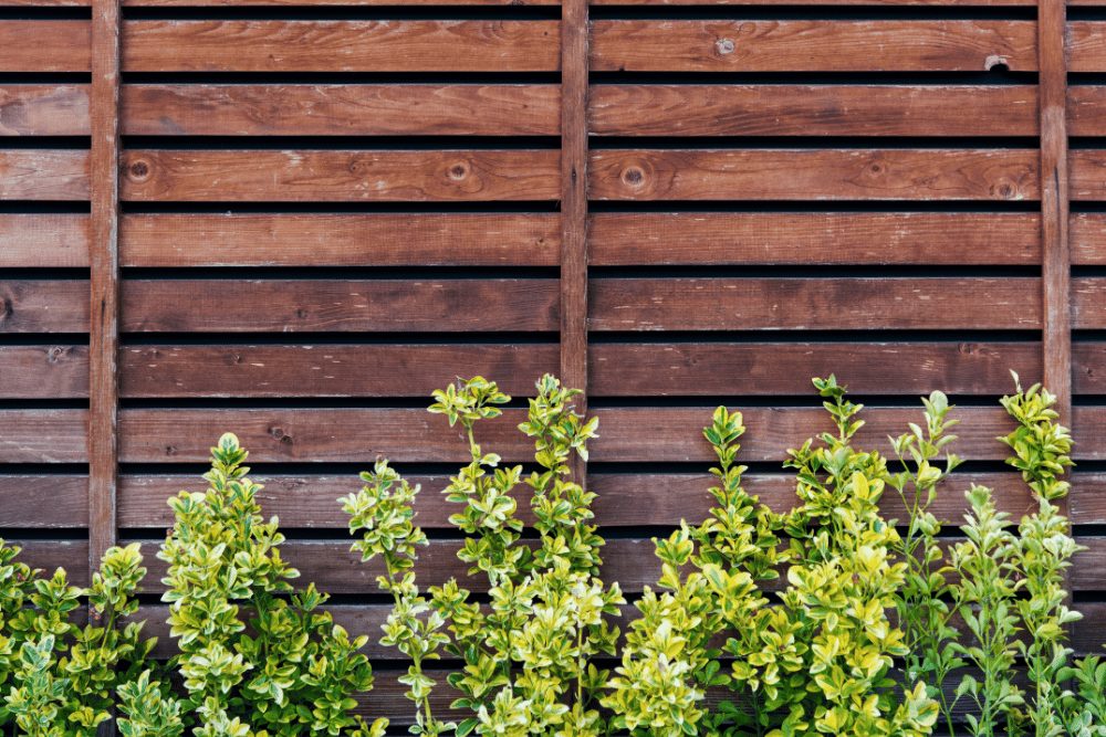 Fence Installation