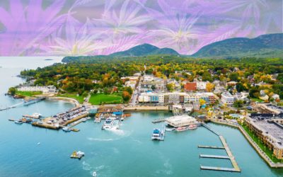 Starting a Cannabis Business in Maine