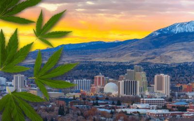 Starting a Cannabis Business in Nevada