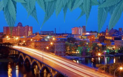 Starting a Cannabis Business in Illinois