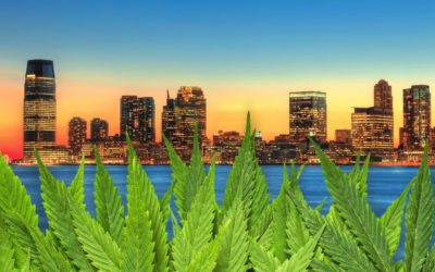 Starting a Cannabis Business in New Jersey