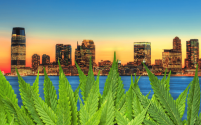 Starting a Cannabis Business in New Jersey