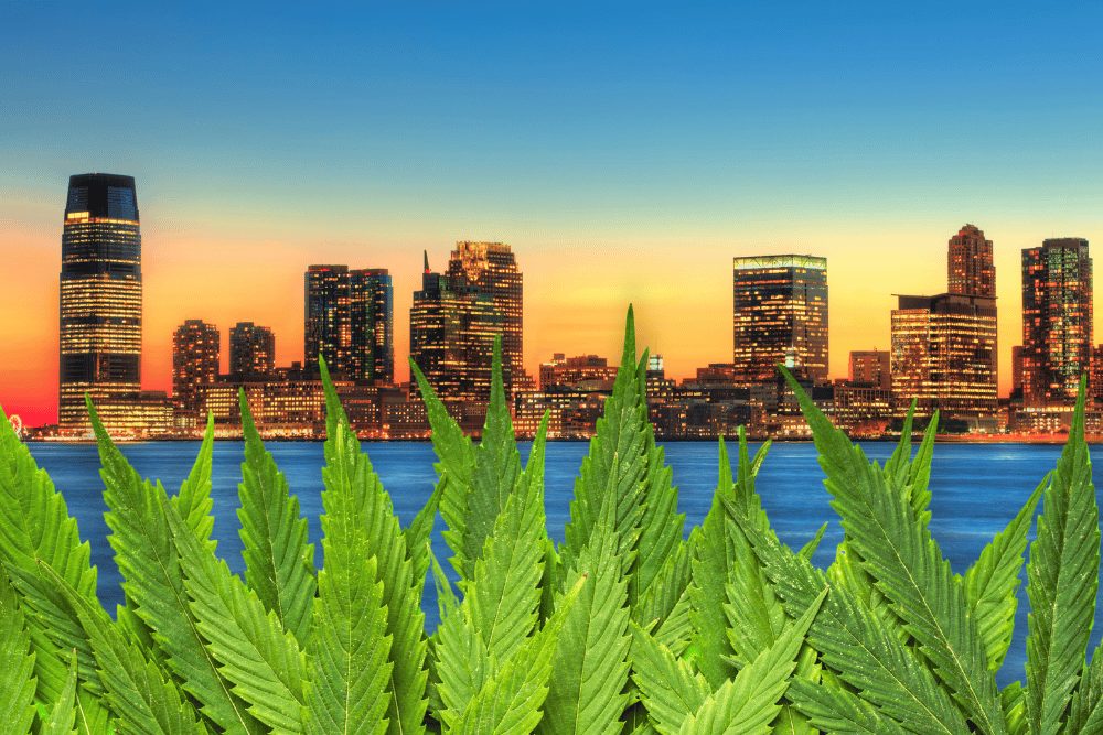 Starting a Cannabis Business in New Jersey